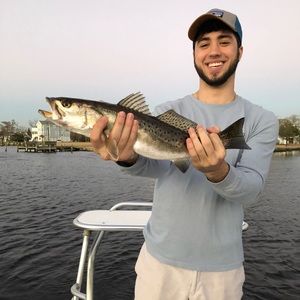 Meet your Posher, Anthony